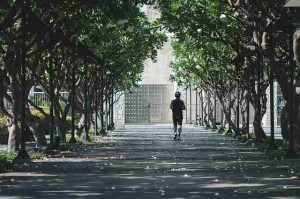 年度报告·新91视频：全面解读界面设计亮点背后隐藏的秘密