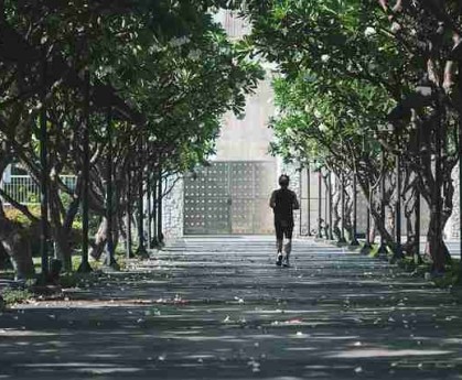 年度报告·新91视频：全面解读界面设计亮点背后隐藏的秘密